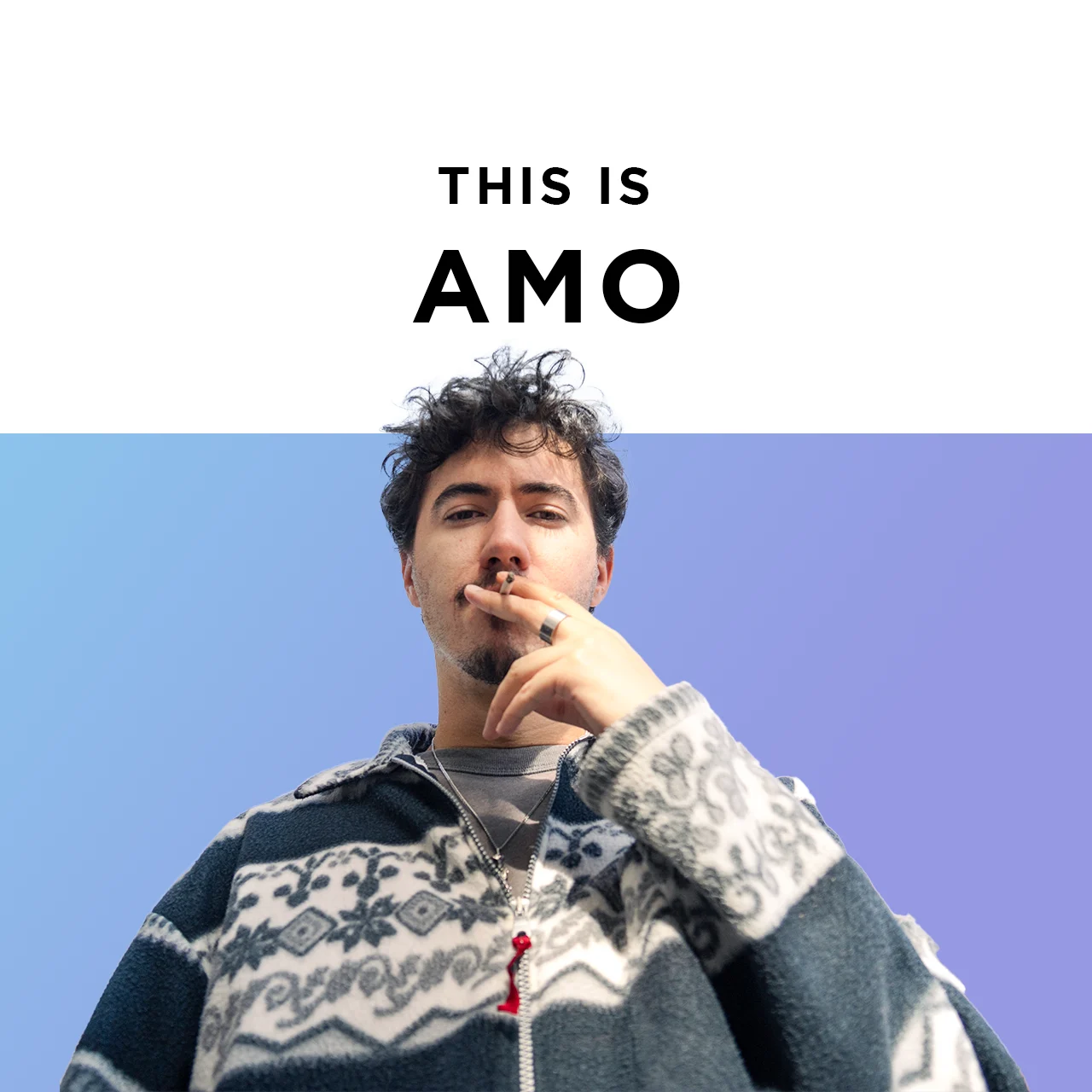 Pochette de playlist This Is AMO