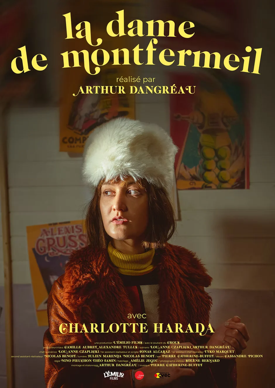 Affiche La dame de Montfermeil